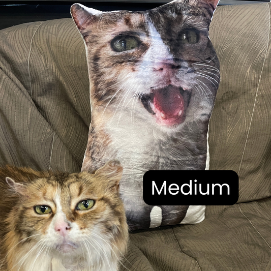 The Ultimate Snuggle Pillow