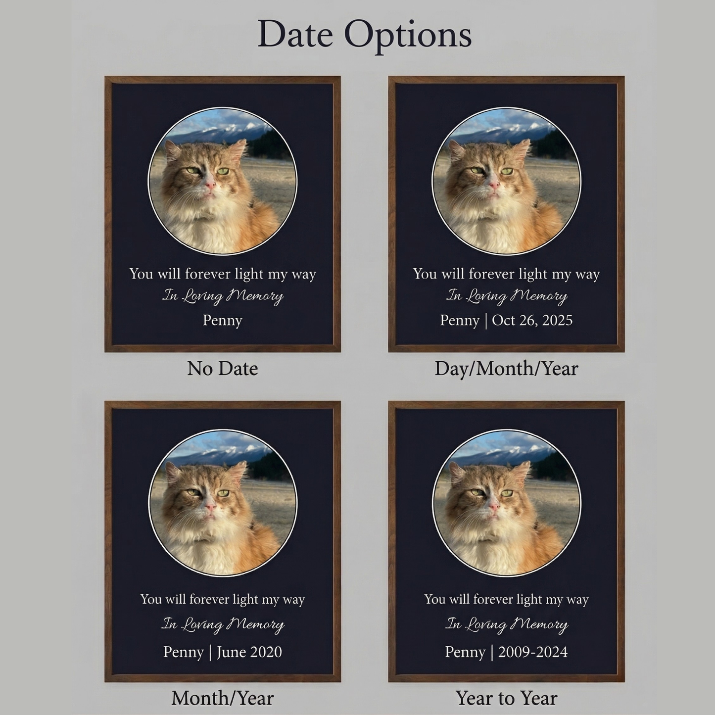 You Will Forever Light My Way Memorial Tribute