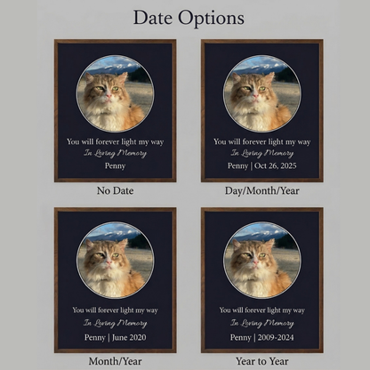 You Will Forever Light My Way Memorial Tribute