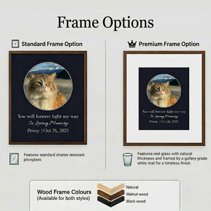 You Will Forever Light My Way Memorial Tribute