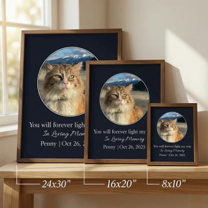 You Will Forever Light My Way Memorial Tribute