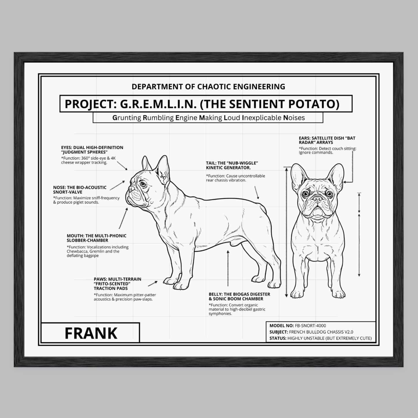 The Personalized Frenchie Blueprint
