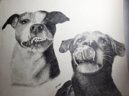 Hand Drawn Pet Portraits 9x12"