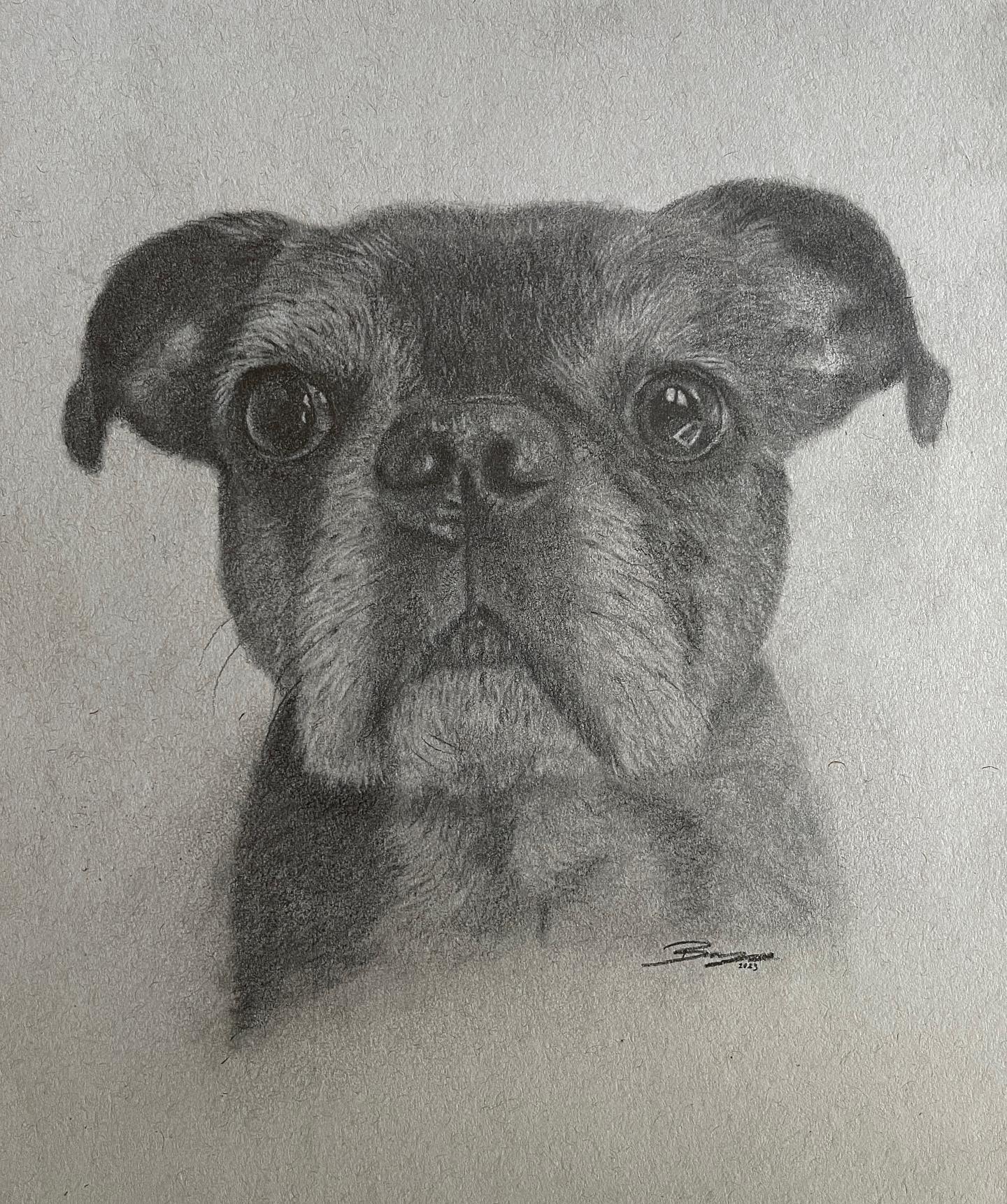 Hand Drawn Pet Portraits 9x12"