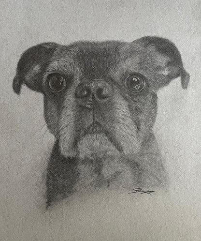 Hand Drawn Pet Portraits 9x12"