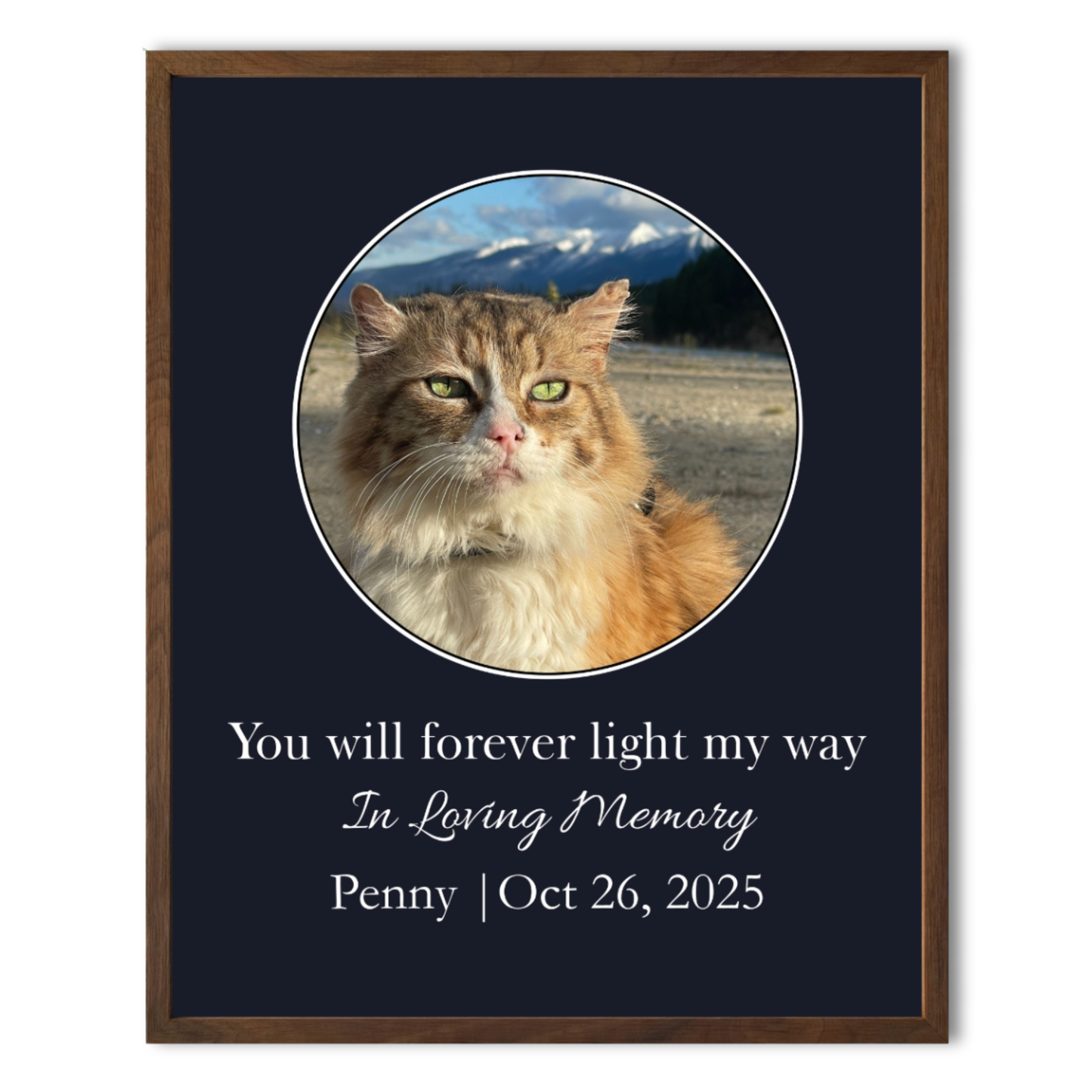 You Will Forever Light My Way Memorial Tribute