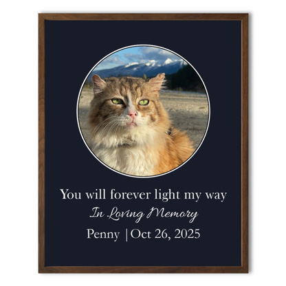 You Will Forever Light My Way Memorial Tribute
