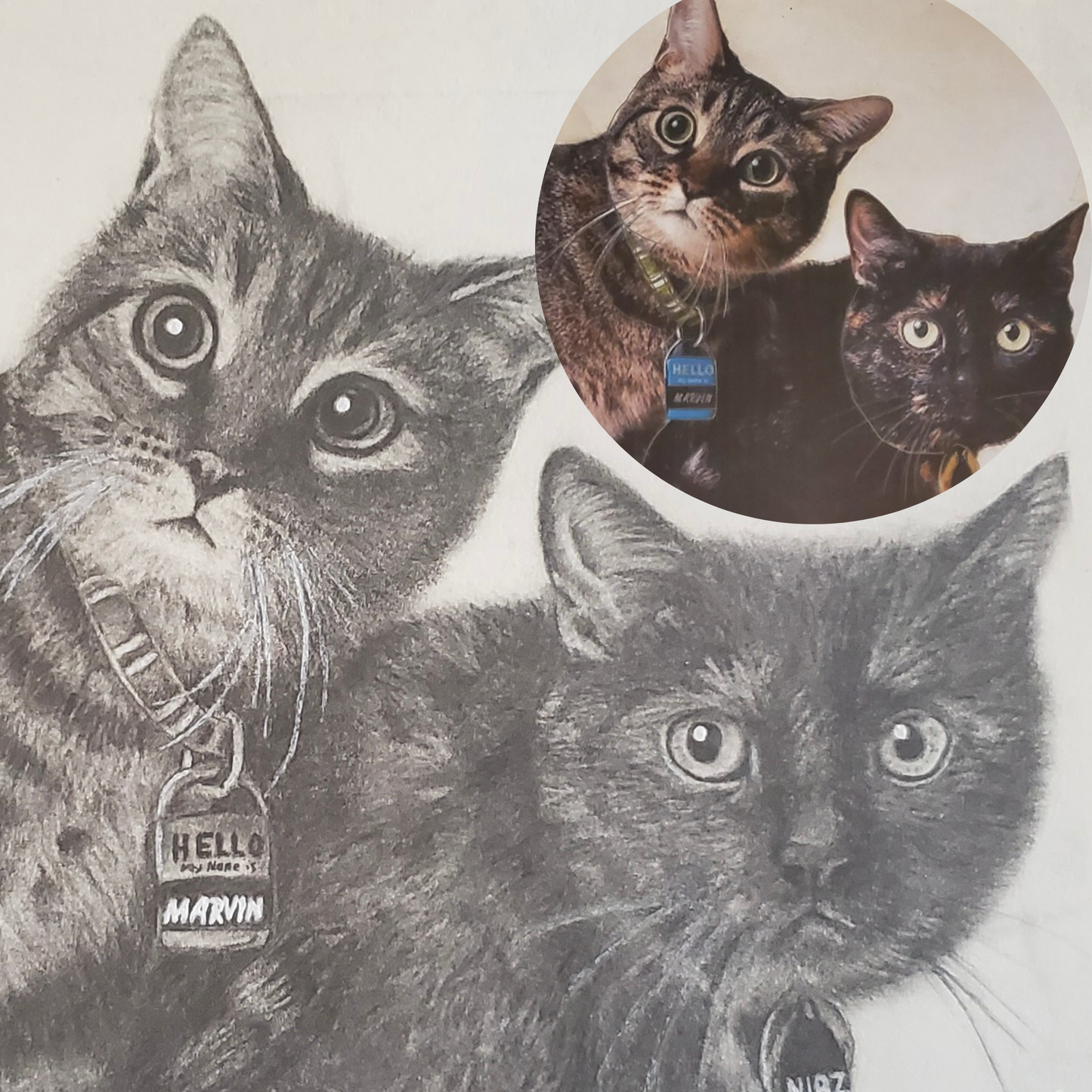 Hand Drawn Pet Portraits 9x12"