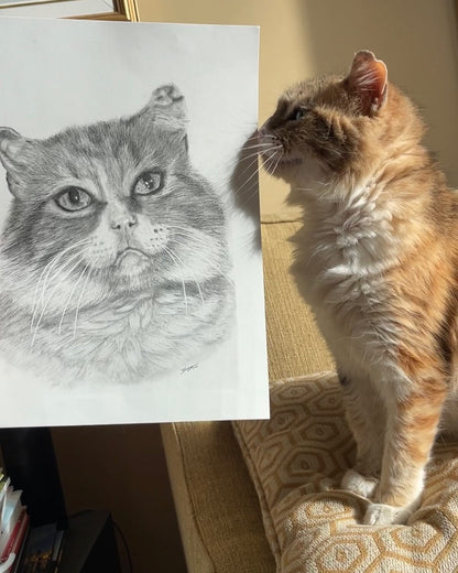 Hand Drawn Pet Portraits 9x12"