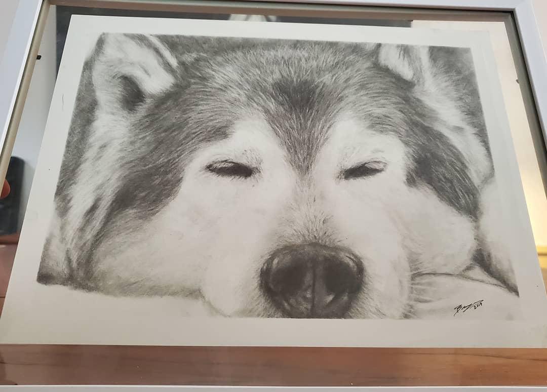 Hand Drawn Pet Portraits 9x12"